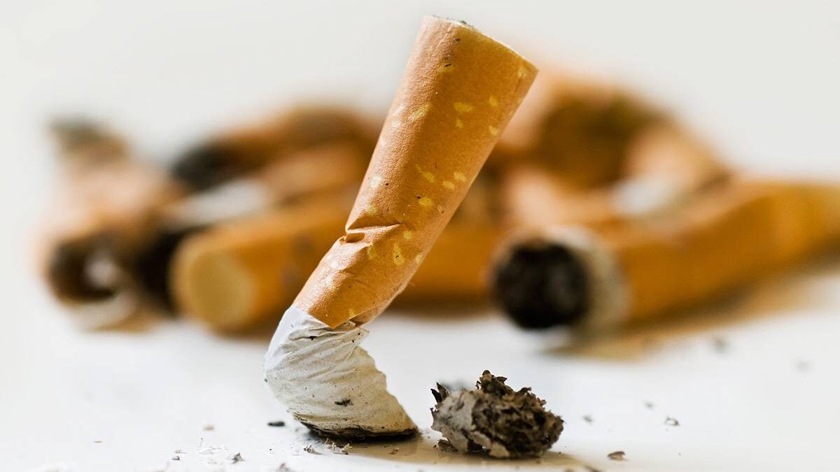    Фото: shutterstock