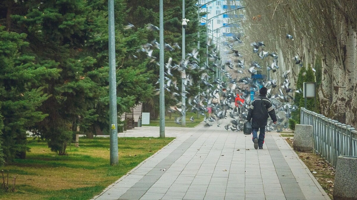     Источник: novostivolgograda.ru