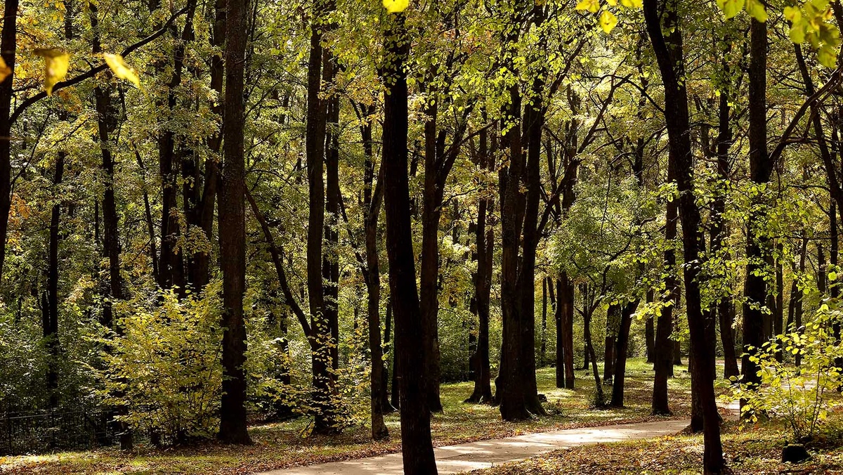    Фото: Сергей Егоров