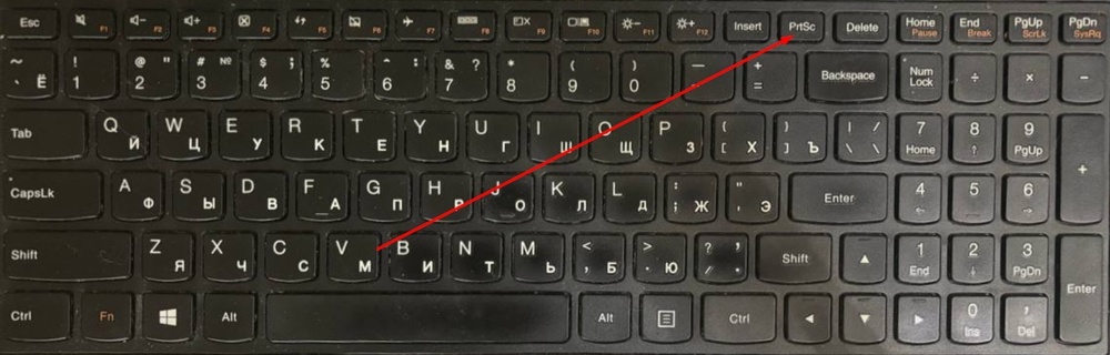     Фото: Юлия Гуреева