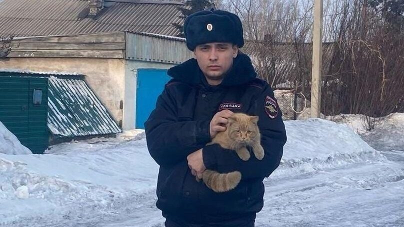 10 дней без еды и воды: участковый на Кузбассе спас кота от смерти