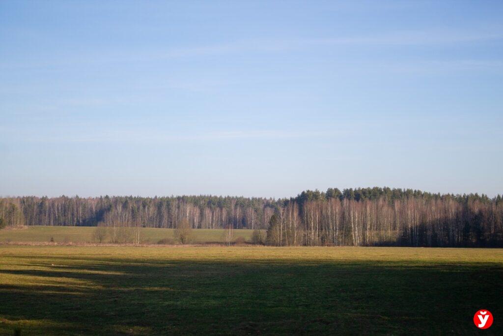 Природа оживает в марте