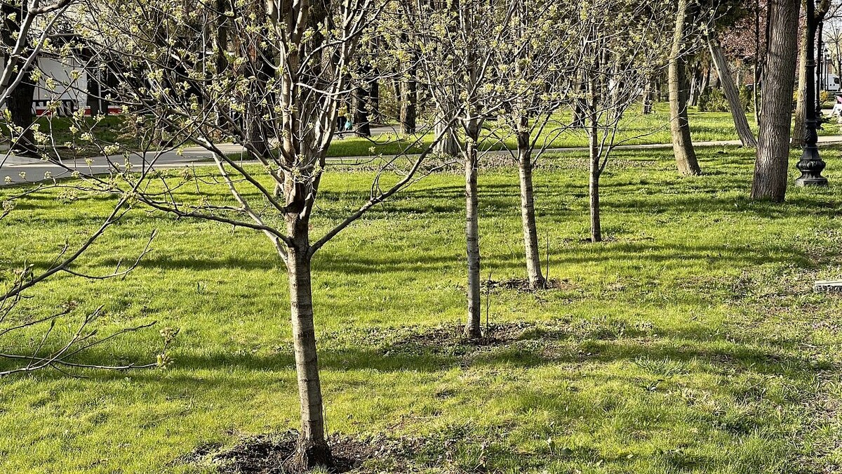    Фото: телеканал «Краснодар»