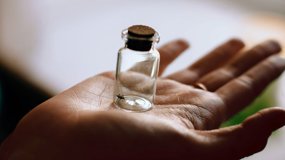 Фото: Мария Бакланова / Коммерсантъ