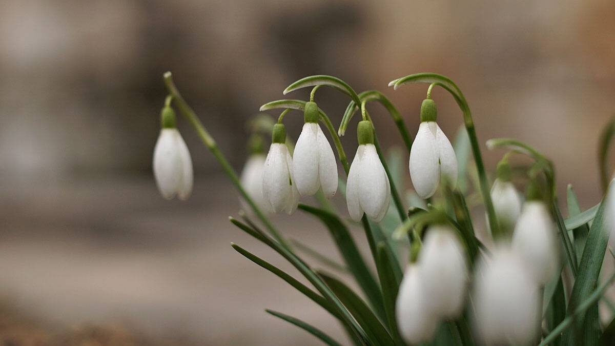    Фото: Анатолий Цымбалюк / Вечерняя Москва