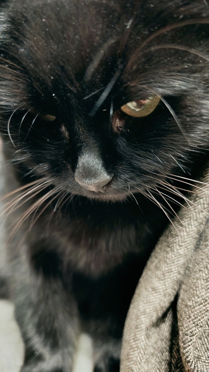 Хелла, или Бомбей :)