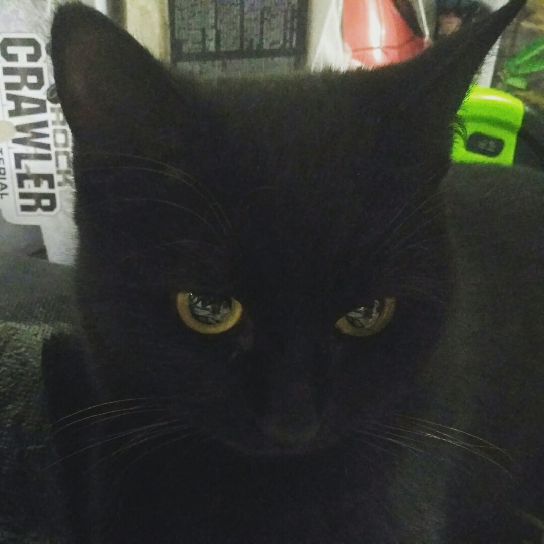 Хелла очень эмоциональная и разговорчивая :)