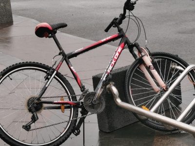    Фото: ГТРК Карелия