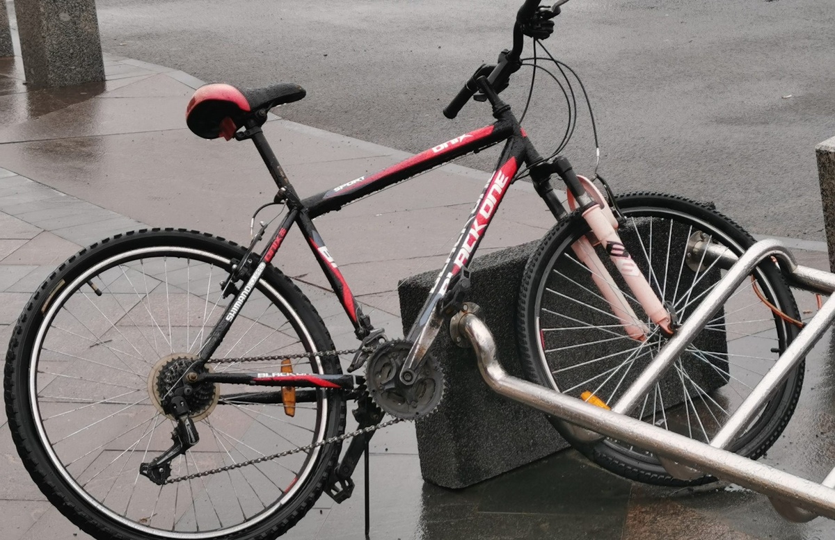    Фото: ГТРК Карелия