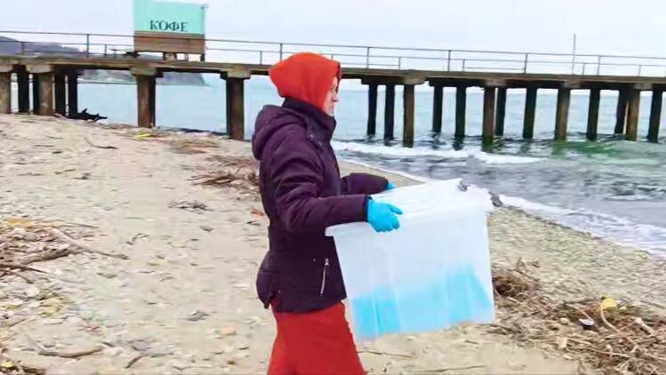    Фото: пресс-служба администрации Краснодарского края