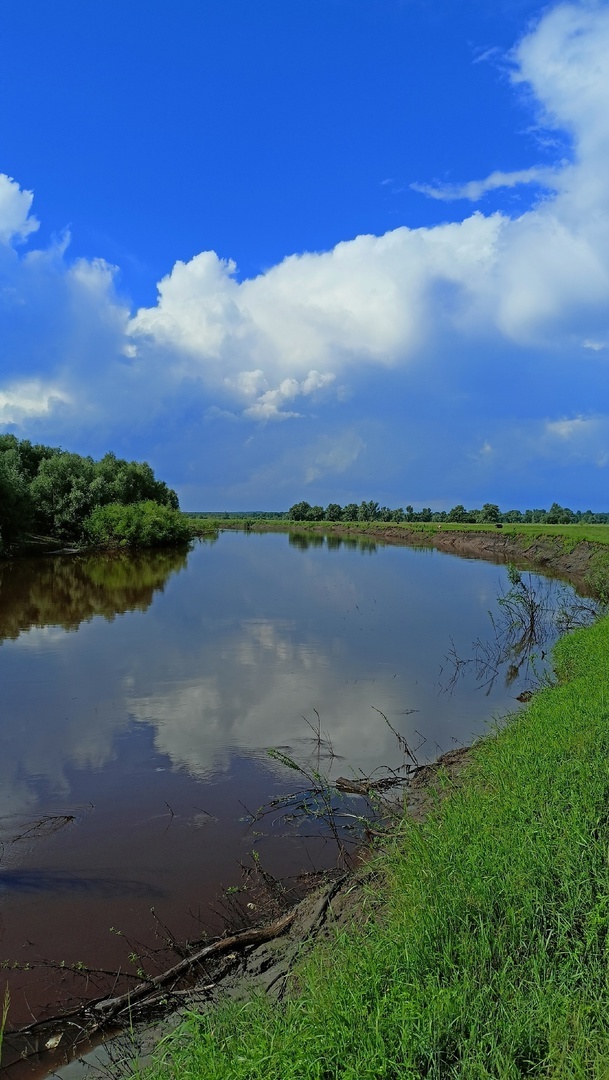 Река тара Окунево