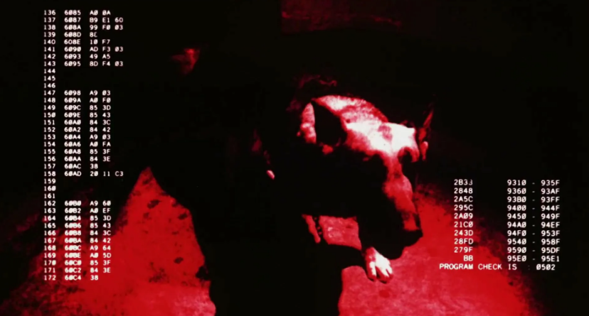 Кадр из к/ф "Терминатор"