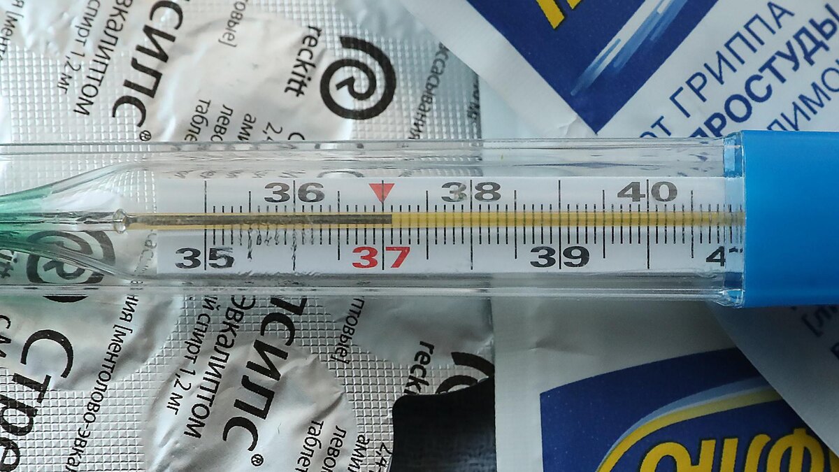    Фото: ИЗВЕСТИЯ/Андрей Эрштрем