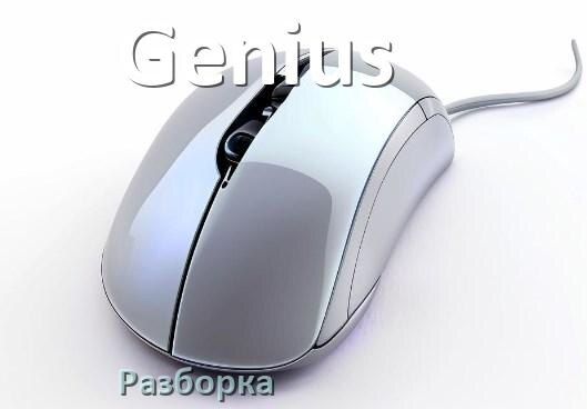 
Как разобрать мышку Genius без болтов и почистить самому