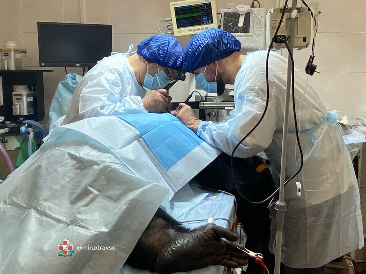 Вылечить этот вид опухоли можно только хирургическим путем.