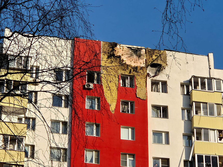 Фото: АГН «Москва»