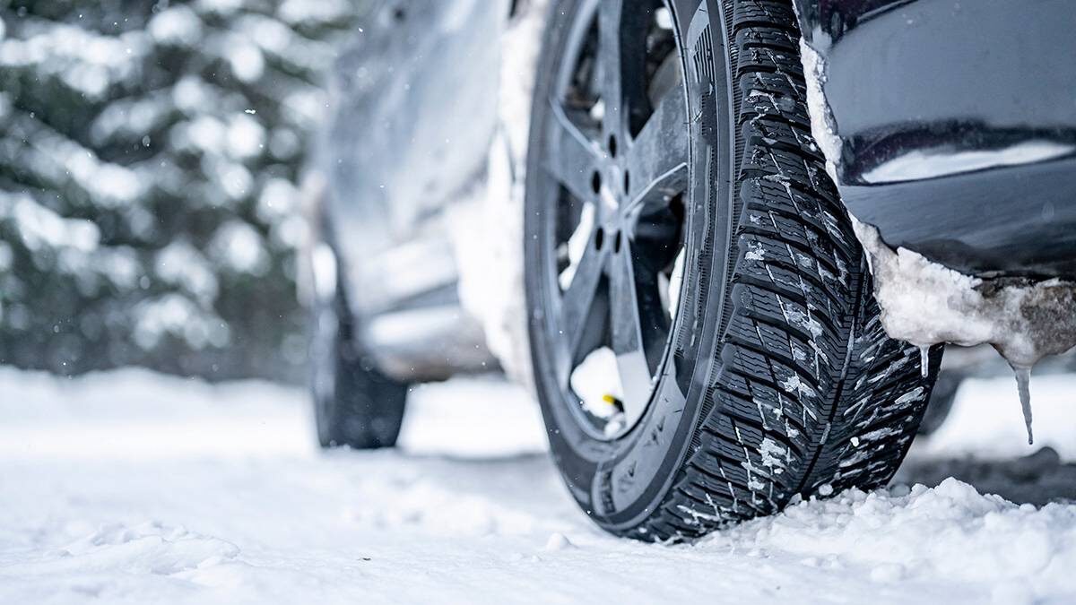    Фото: Shutterstock