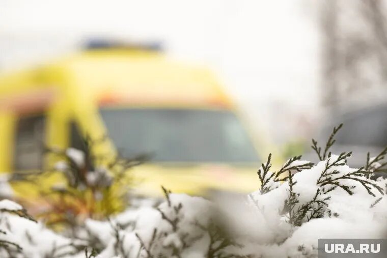 В школе Нижнего Новгорода два человека пострадали от рук одноклассника. Фото: Руслан Яроцкий © URA.RU