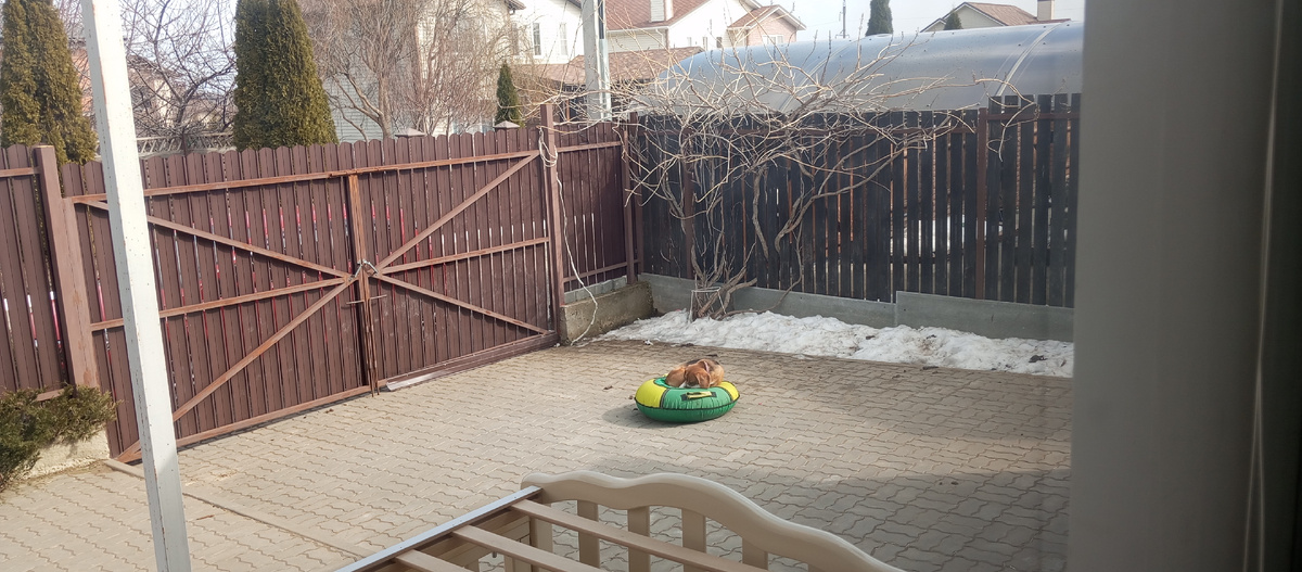 Бонька😂😂😂❤