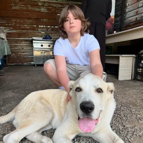    Сын Михалковой и Гигинеишвили — 11-летний Иван, фото: соцсети