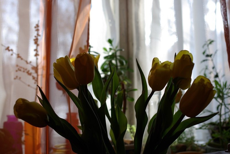 похоже на языки пламени?!