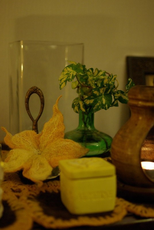 дома у автора