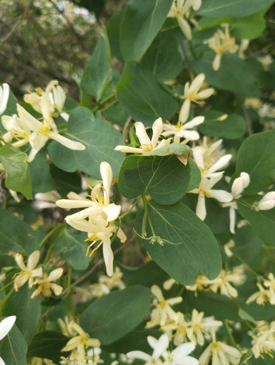 Фото автора канала