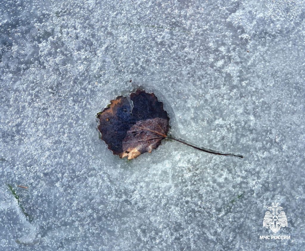    МЧС Костромской области