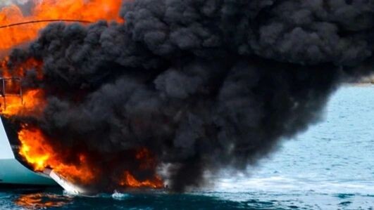    Фото: Tali Kirsh/Shutterstock/Fotodom