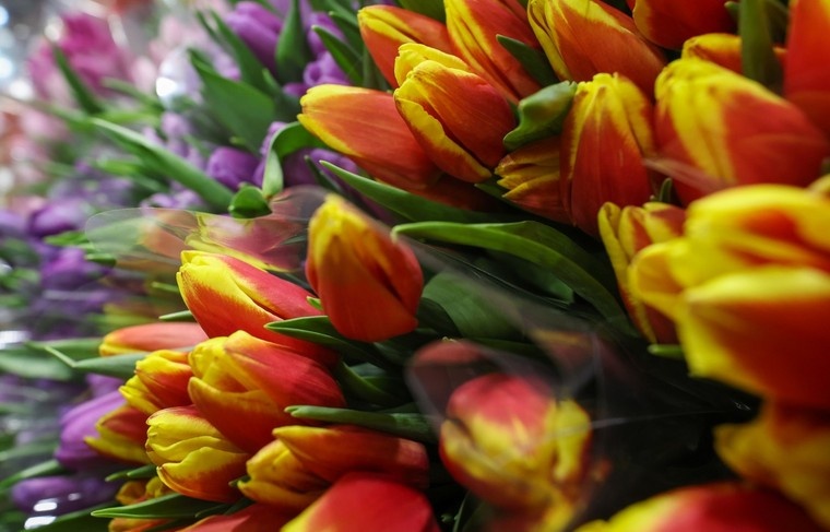     Алексей Белкин/NEWS.ru