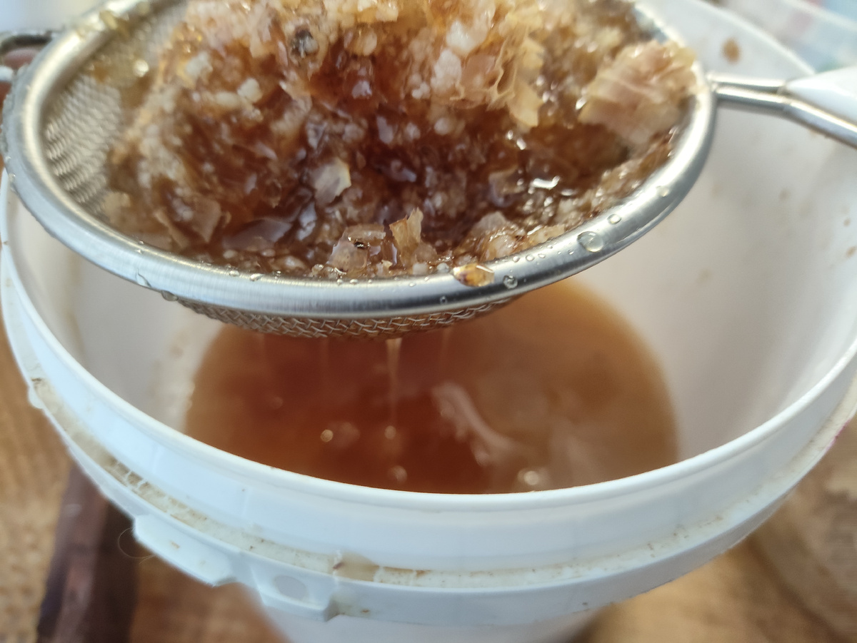 Процеживаю соты. Течет помаленьку