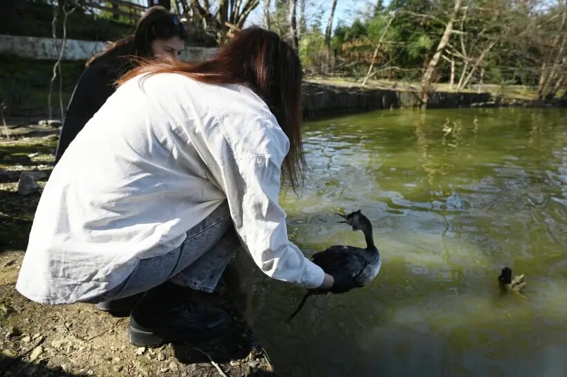     © РИА Новости. Екатерина Лызлова