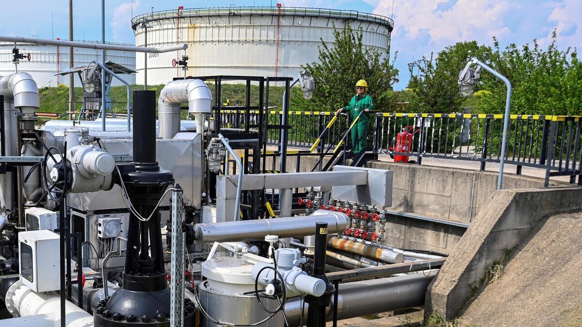 AFP 2024 / Attila Kisbenedek