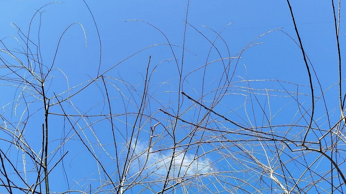    Фото: телеканал «Краснодар»