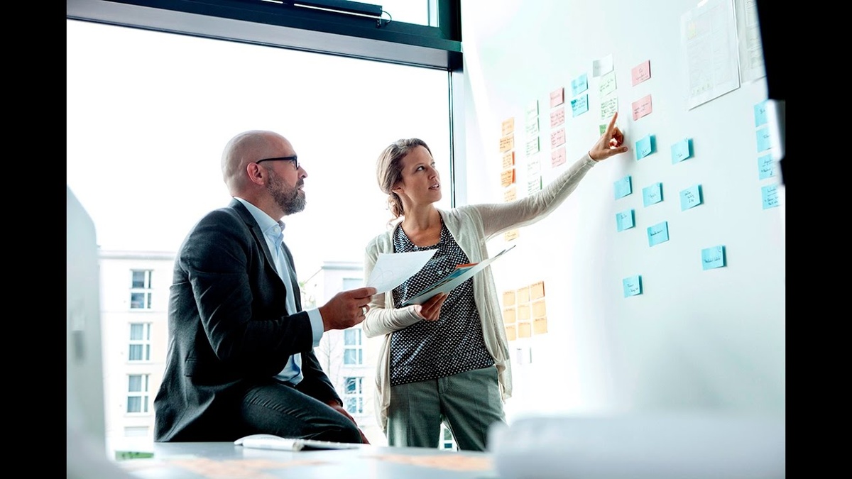    Из университетов в контент-менеджеры