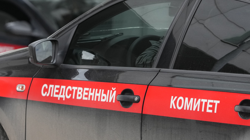    Фото: ИЗВЕСТИЯ/Дмитрий Коротаев