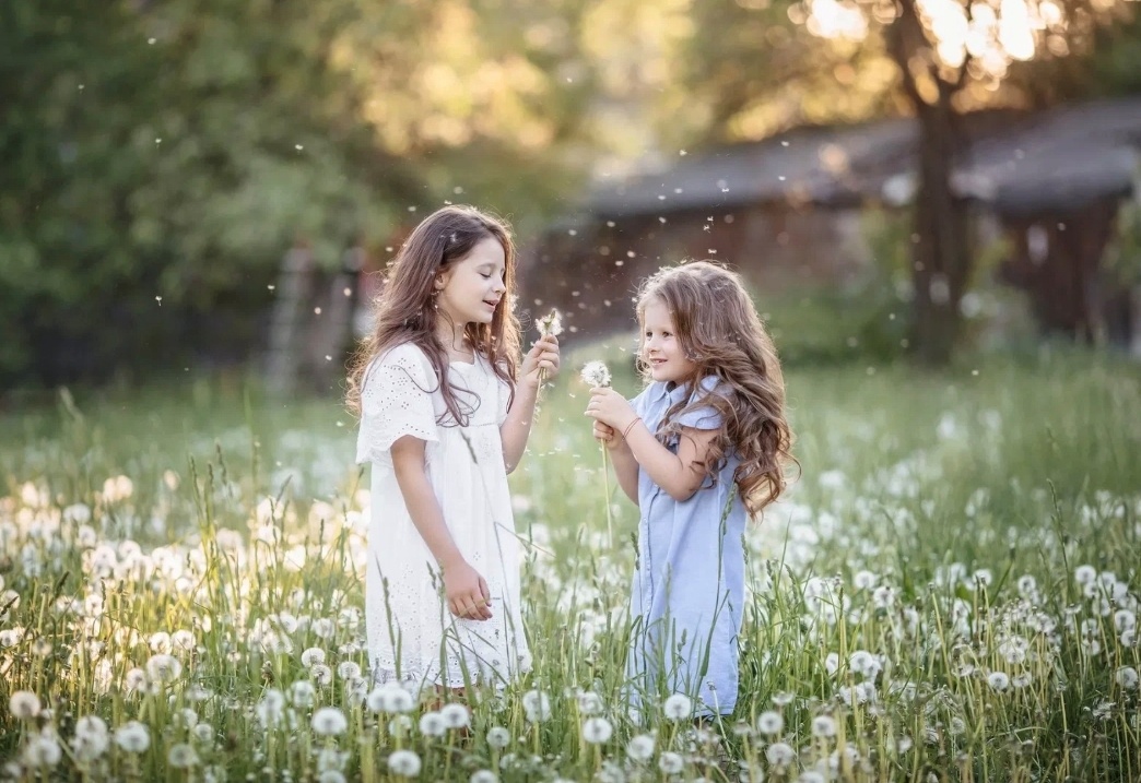 Фото из Яндекса.