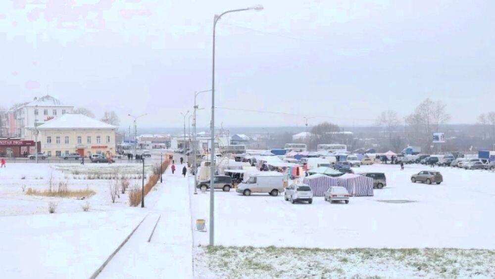 Пропавшую девочку искали повсюду