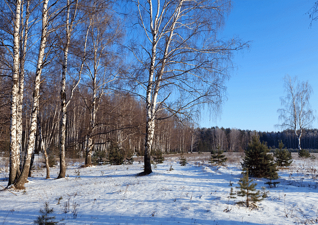 Фото: freepik.com