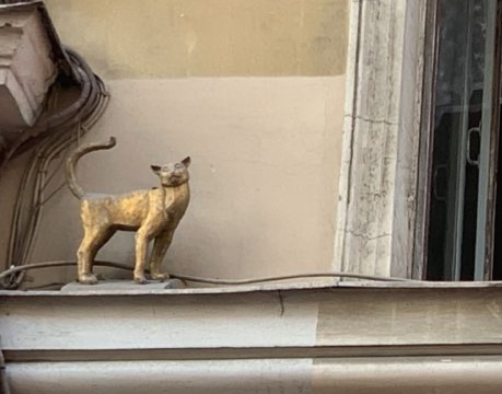 Фото от подруги