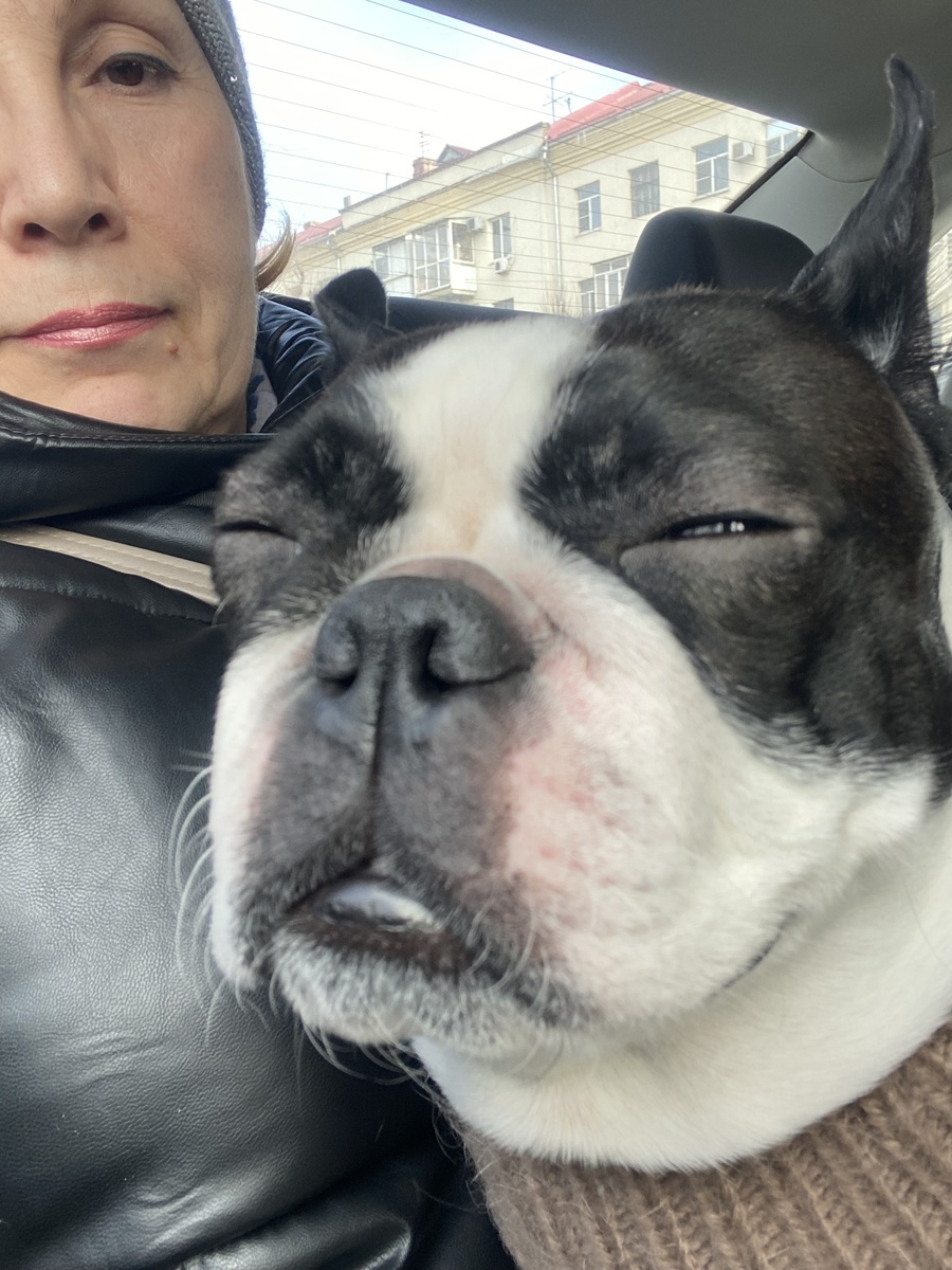 Мы помчались в другую ветклинику 