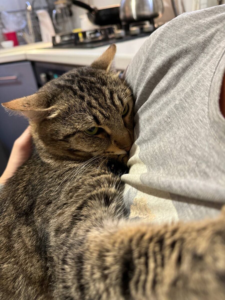 Страшненько. Но человеку я верю