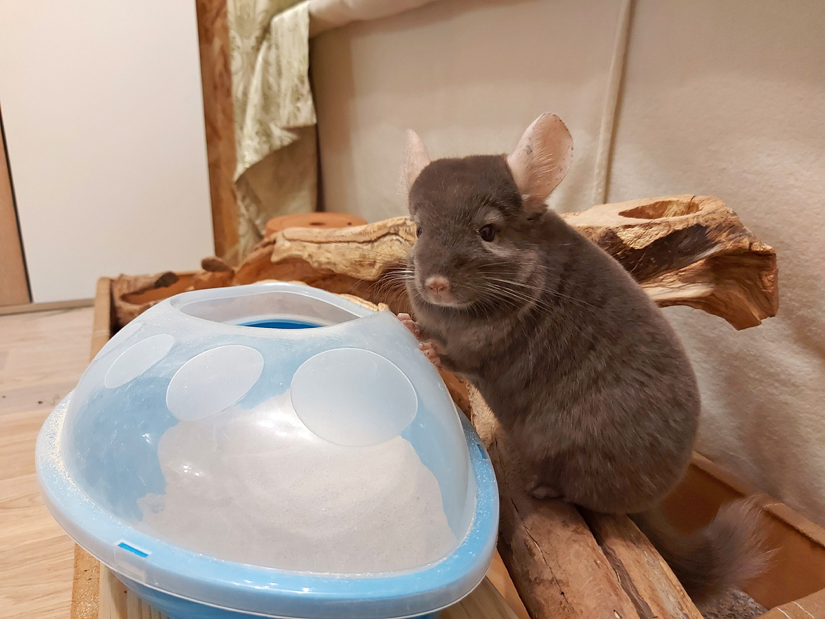 И в такую купалку нормально ловятся - отверстие закрываю пятерней :)