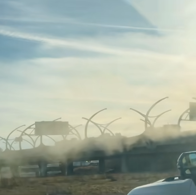    Фото: скриншот видео из группы ВК «Наш Приморский район»