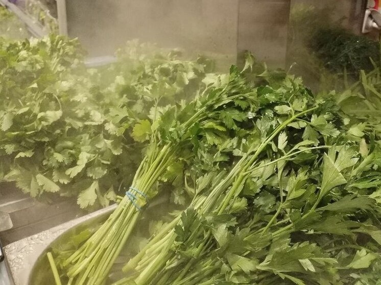     Долгожители в основном питаются сложными углеводами и этом не пирожные, пончики и булочки, а бобовые, цельные злаки, зелень и сладкий картофель. Фото: «МК в Великом Новгороде»