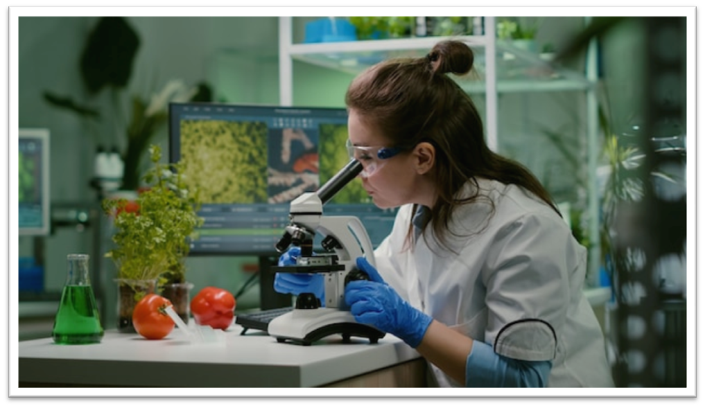 Источник изображения ru.freepik.com [3]