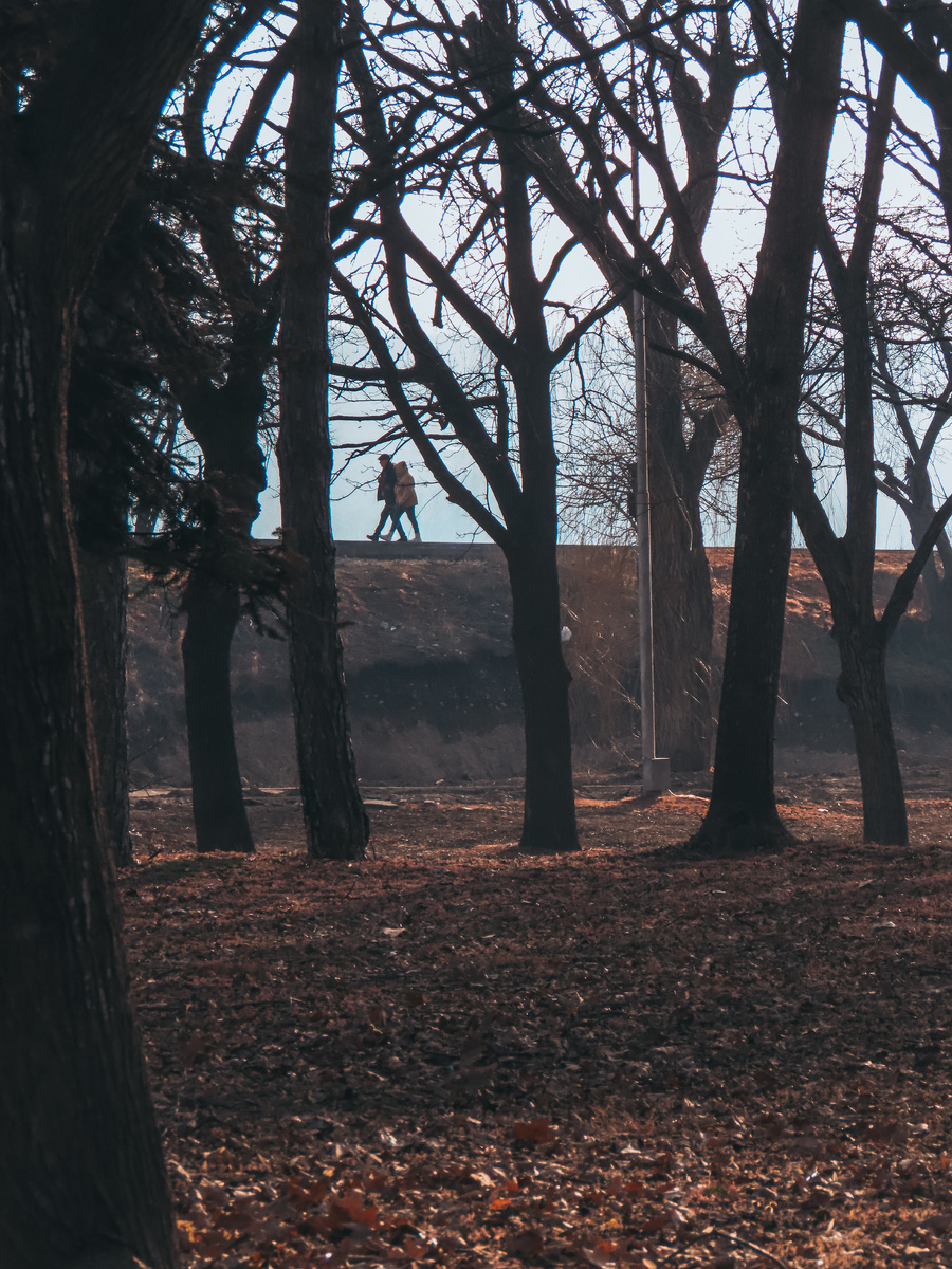 Парк Победы (март 2025 года)