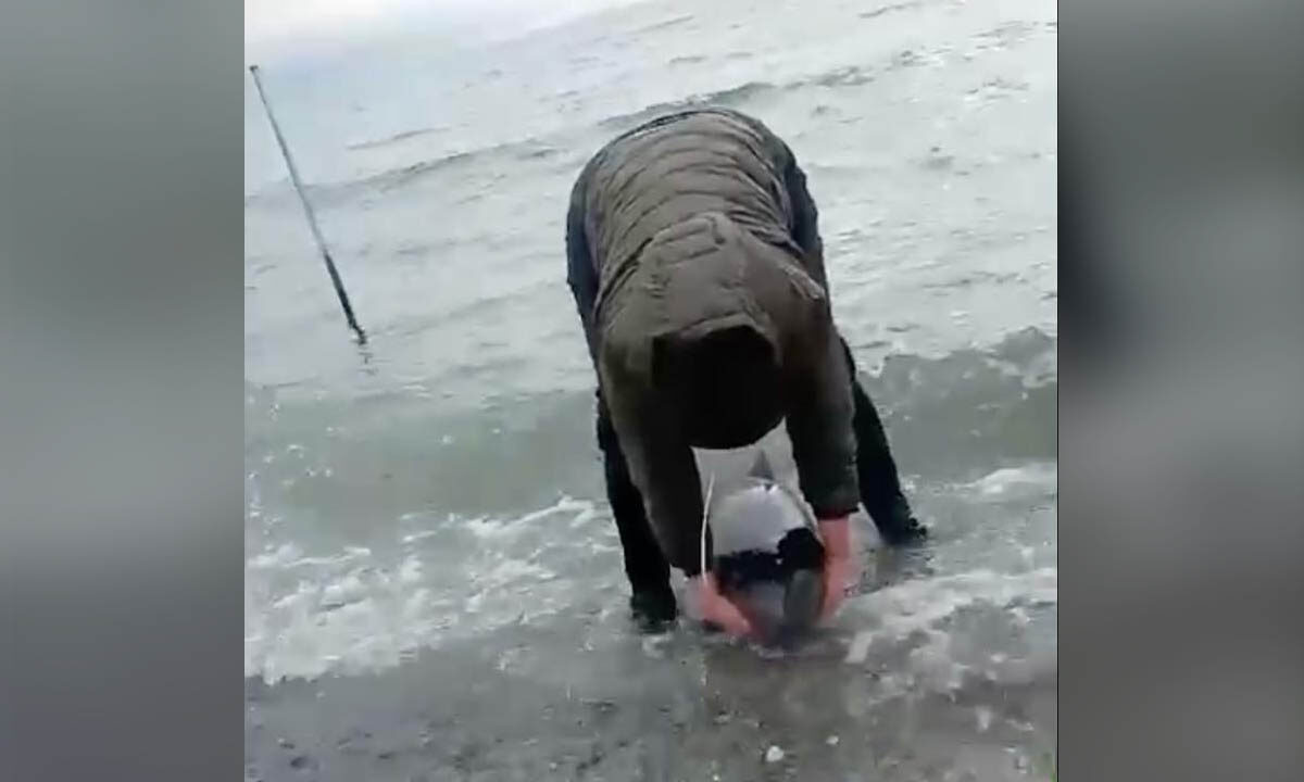    Фото t.me/delfacenter