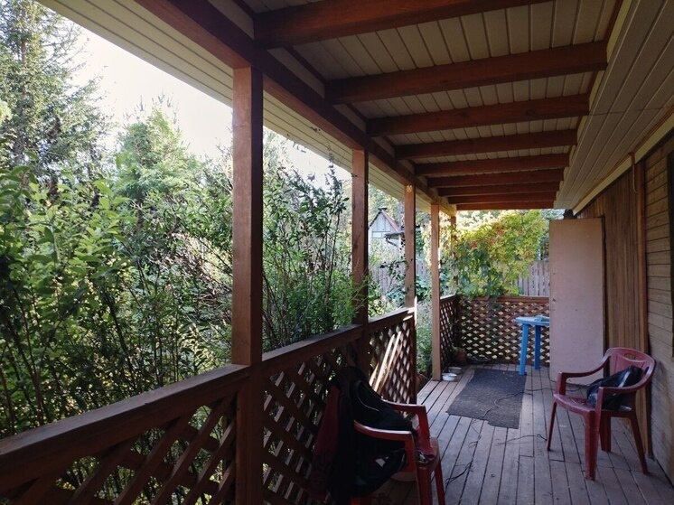     На даче нельзя теперь выращивать вьюнок с голубыми цветами. Фото: «МК в Великом Новгороде»