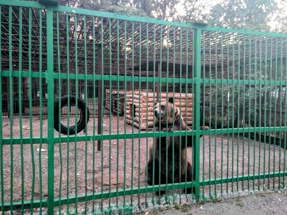 Вольерное хозяйство в Уфе 